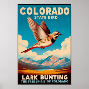 Colorado State Bird - Lark Bunting Vintage Poster