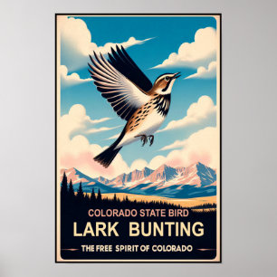 Colorado State Bird - Lark Bunting Vintage Poster