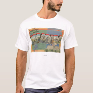 Colorado (State Capital Scene) T-Shirt