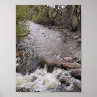 Colorado Stream Poster