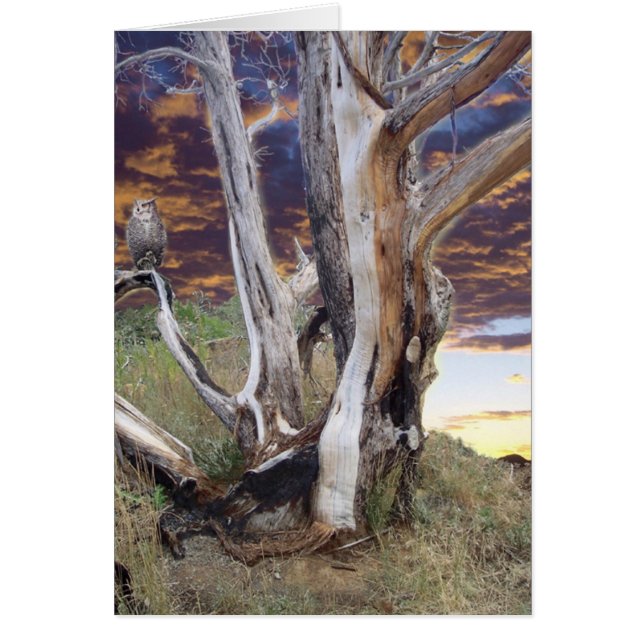 Colorado Sunset (Front)