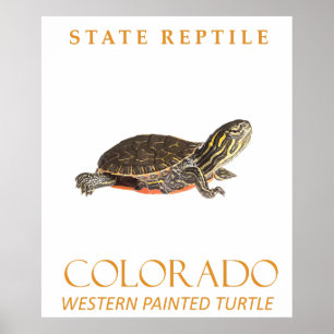 Colorado Territory Baby Western Painted Turtle Poster