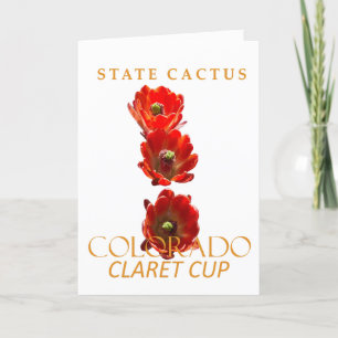 Colorado Territory Cactus The Claret Cup Holiday Card