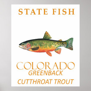 Colorado Territory Fish The Greenback Trout Poster