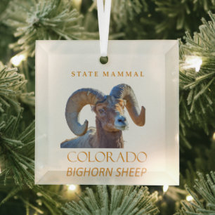 Colorado Territory Mammal The Bighorn Sheep Glass Tree Decoration