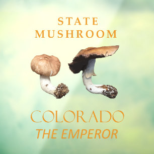 Colorado Territory Mushroom The Emperor