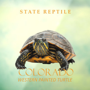 Colorado Territory Reptile Western Painted Turtle