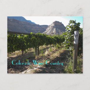 Colorado Wine Country Postcard