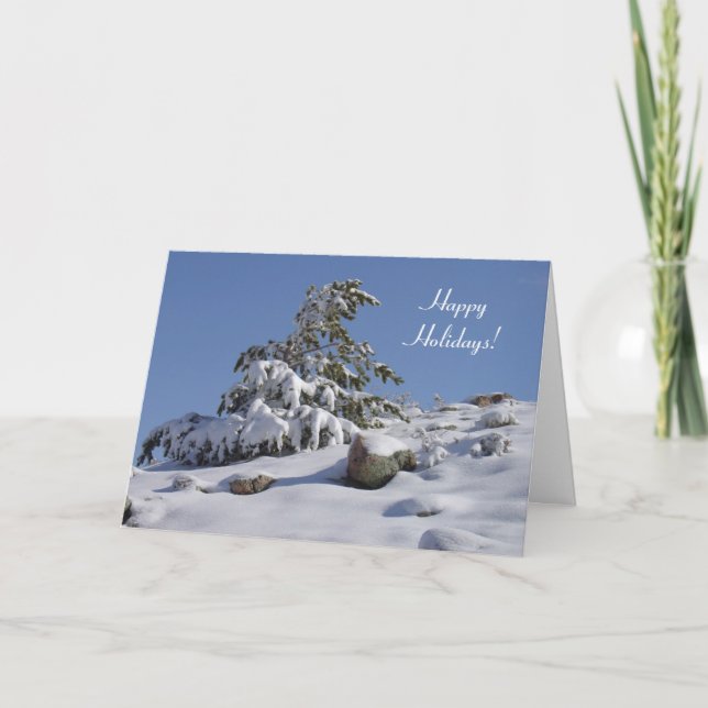 Colorado Winter Pine Christmas Card (Front)