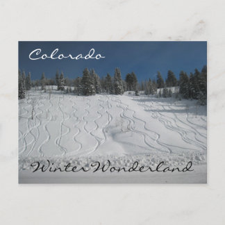 Colorado winter wonderland postcard