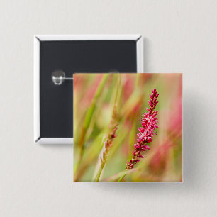 colorbush 15 cm square badge