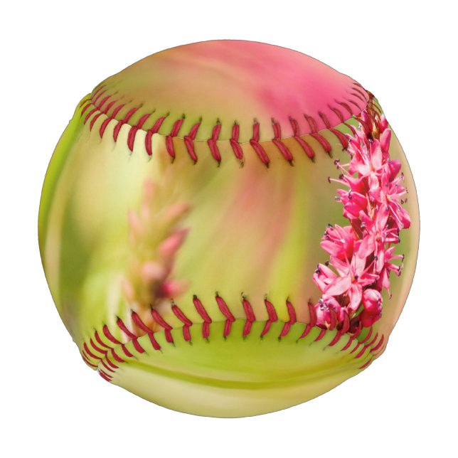 colorbush baseball (Front)