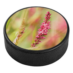 colorbush hockey puck