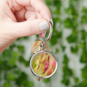 colorbush key ring