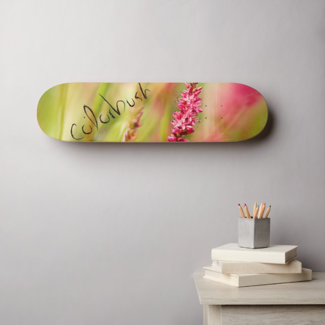 colorbush skateboard (Wall Art (Horz))