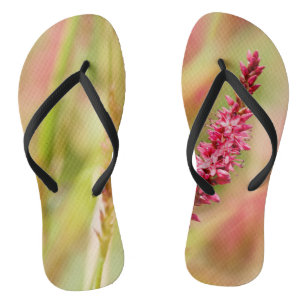 colorbush thongs