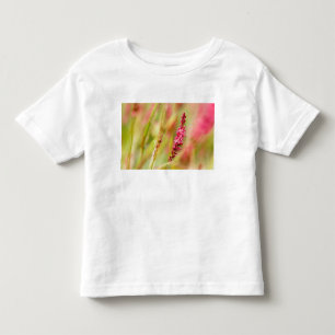 colorbush toddler T-Shirt