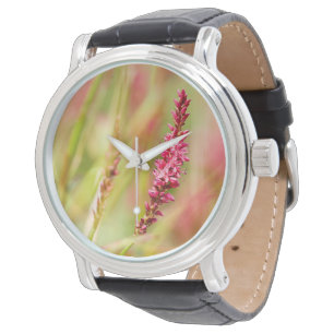 colorbush watch