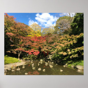 Colored Maple Trees by Pond Poster