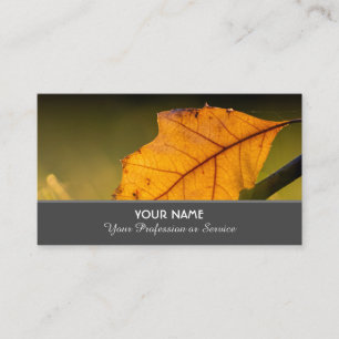 Colorful autumn leaves in golden sunset business c card