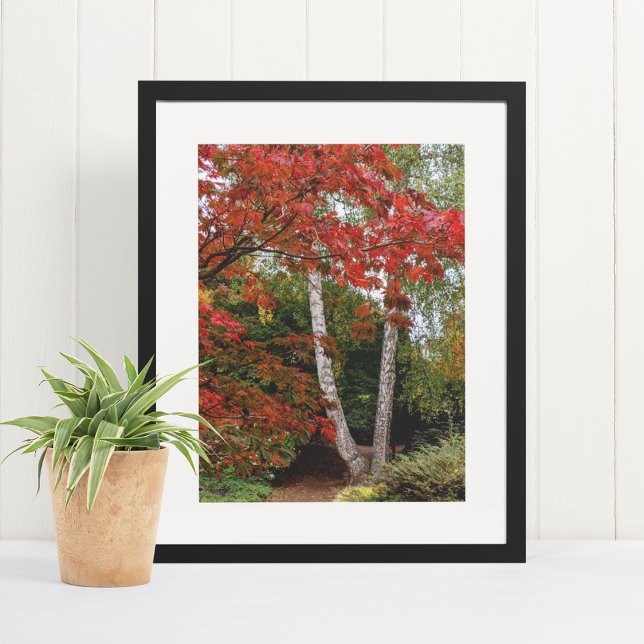 Colorful Autumn Leaves Landscape Poster (In Situ Framed)