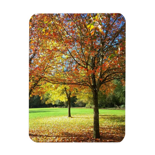 Colorful Autumn Trees Magnet (Vertical)