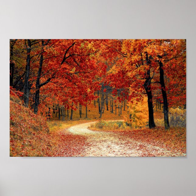 Colorful Autumn Trees Road Poster (Front)