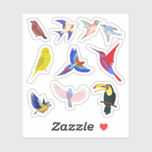 Colorful Birds Stickers