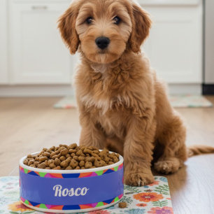 Colorful Blue Retro Geometric Ceramic Pet Bowl