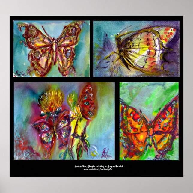 COLORFUL BUTTERFLIES  COLLECTION POSTER (Front)