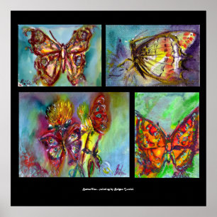 COLORFUL BUTTERFLIES  COLLECTION POSTER