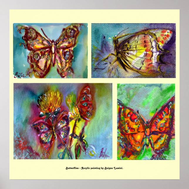 COLORFUL BUTTERFLIES  COLLECTION POSTER (Front)
