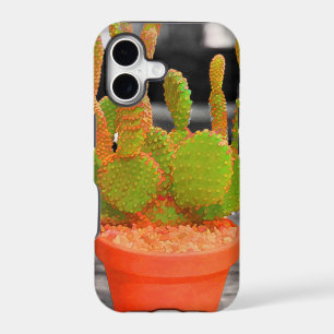 Colorful Cactus