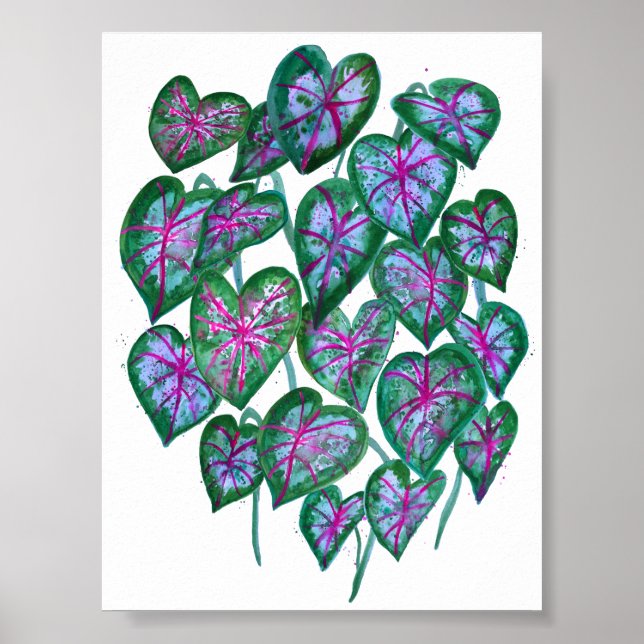 Colorful Caladiums Watercolor Art Pink Green Poster (Front)