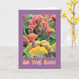 COLORFUL CELOSIA GARDEN/ GET WELL/CUSTOMIZABLE TE CARD