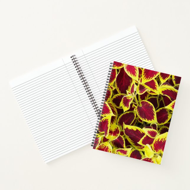 Colorful Coleus Plant Leaves Floral Notebook (Inside)