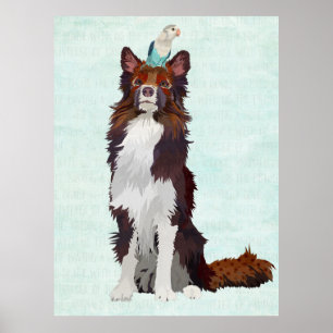 COLORFUL COLLIE & BLUE BIRD POSTER