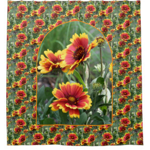 Colorful Daisies Flower Pattern Nature  Shower Curtain