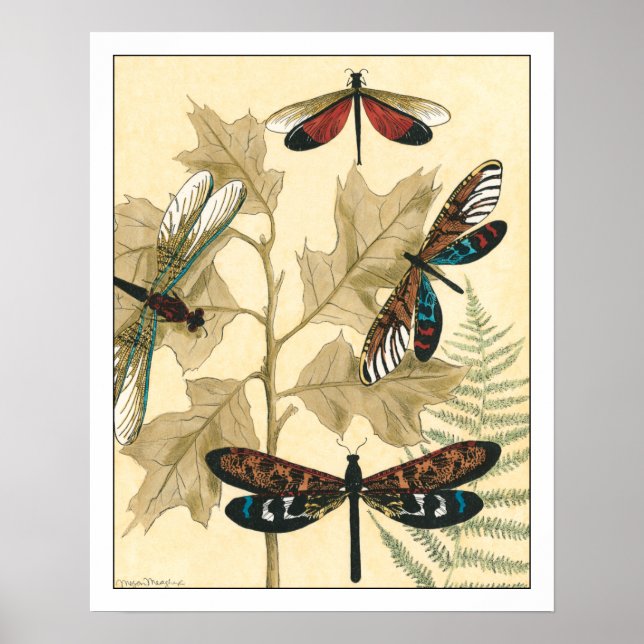 Colorful Dragonflies Floating Above Leaves Poster (Front)