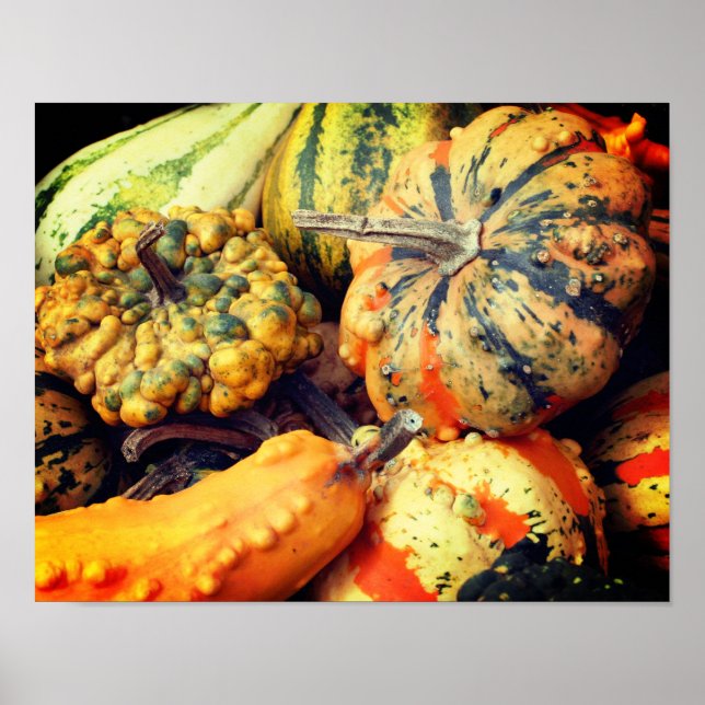 Colorful Fancy Gourds Close Up Poster (Front)