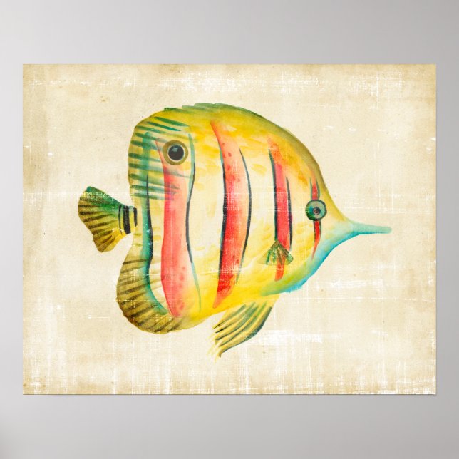 Colorful Fish Poster (Front)