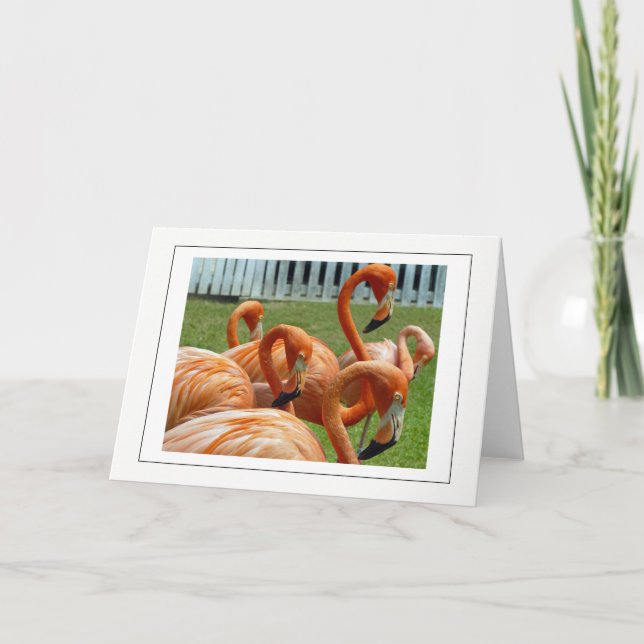 Colorful flamingos greeting card (Front)