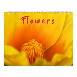 Colorful Flowers  Calendar