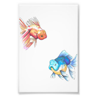 Colorful Goldfish Print