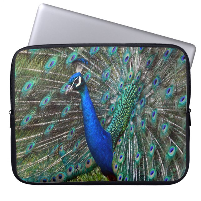 Colorful male peacock laptop sleeve (Front)