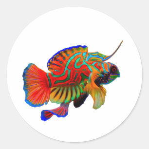 ​Colorful Mandarinfish Die-Cut Decal - Exotic Reef Classic Round Sticker