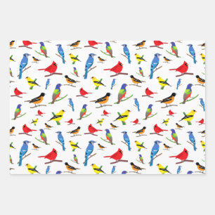 Colorful North American Birds Pattern Wrapping Paper Sheet