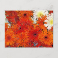 COLORFUL ORANGE FLORA POSTCARD