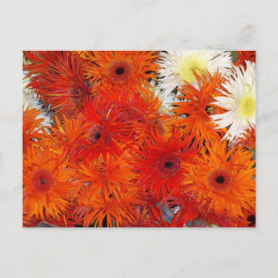 COLORFUL ORANGE FLORA POSTCARD