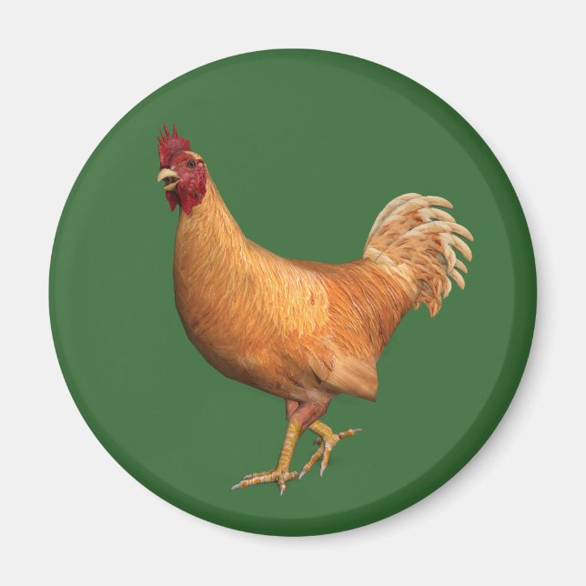 Colorful Orange Rooster Magnet (Front)